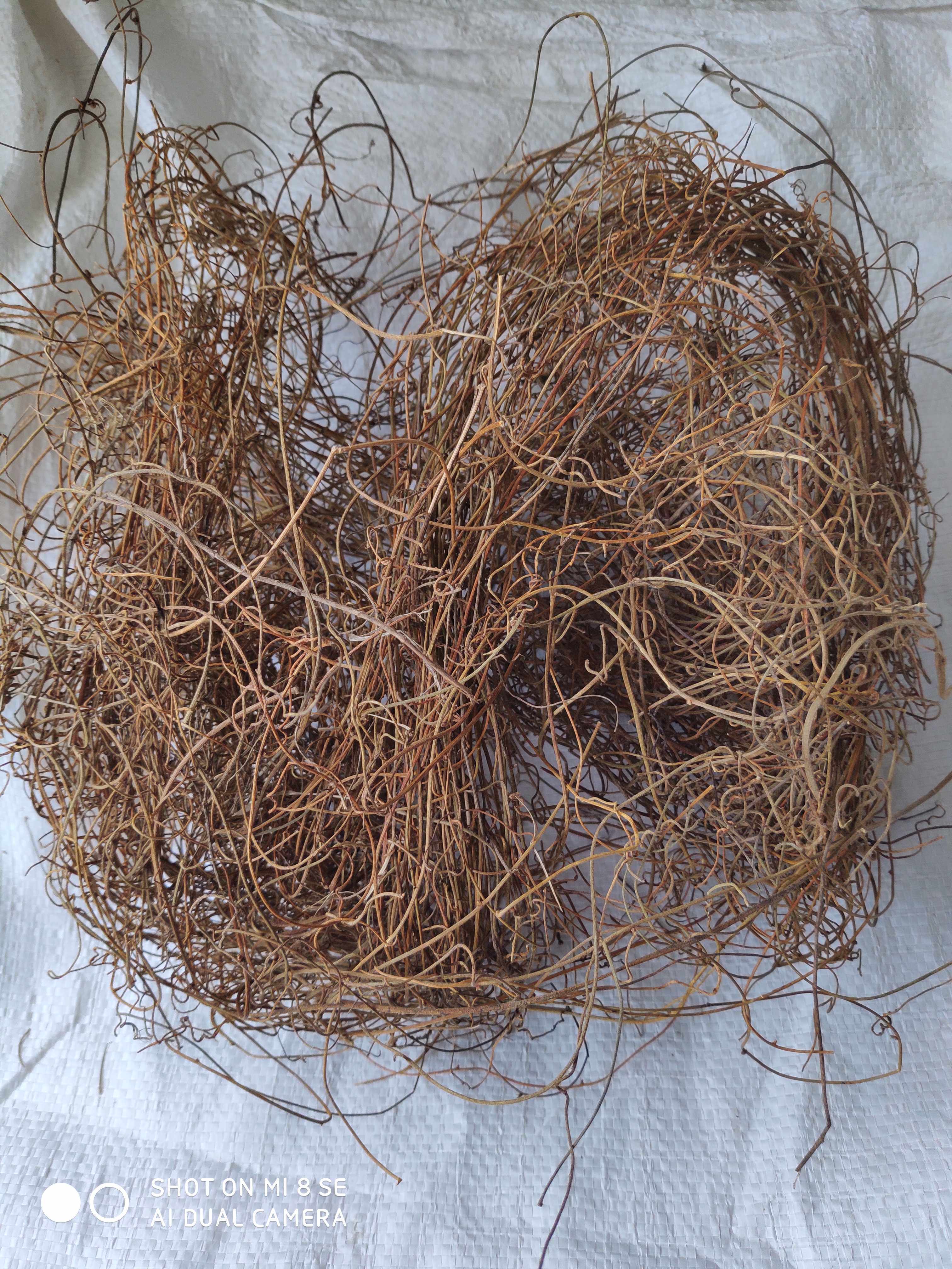 中药材无根藤菟丝子草菟丝藤无娘藤菟丝草罗网藤500g新货正品