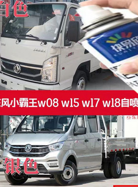 东风小霸王W08 W15 W17 W18银灰色原厂车漆乳白色手自喷漆大容量