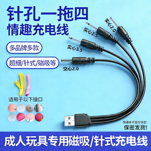 适用于SVAKOM司沃康艾娃 薇充电线2.5mm音频尖针DC针式电源圆孔