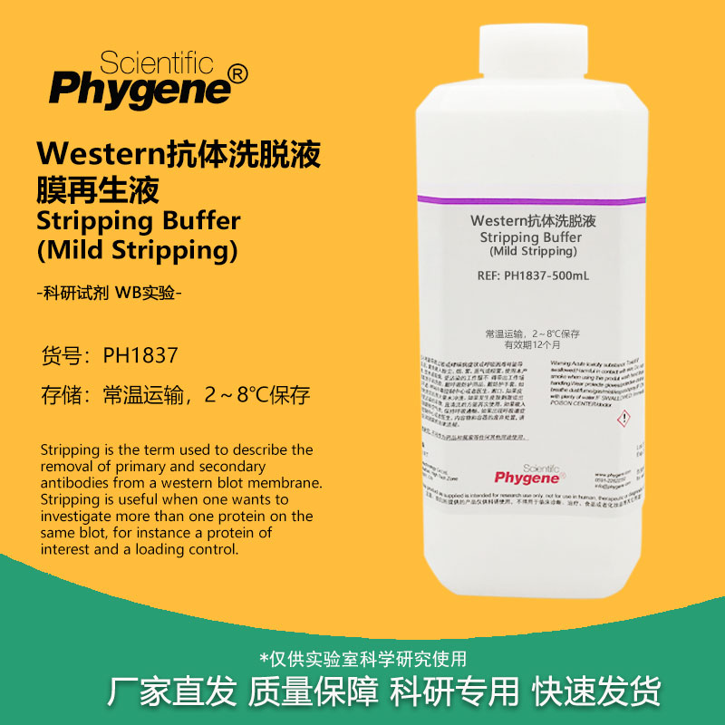 Western抗体洗脱液洗膜液 膜再生液 Mild Stripping 温和型 500mL