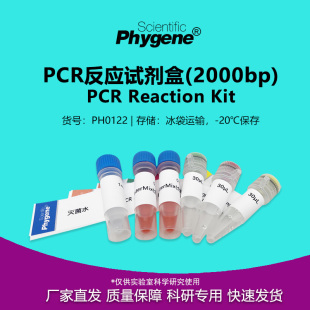 PH0122 PCR反应试剂盒 20T PCR试剂盒 PHYGENE 2000bp
