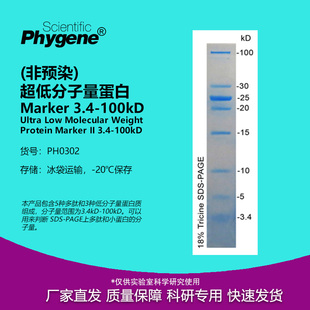 100kD PHYGENE 50uL PH0302 10T 超低分子量蛋白Marker3.4