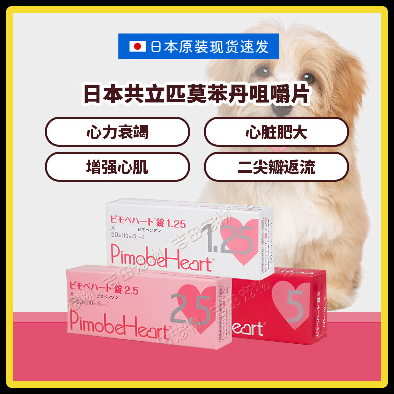 日本共立匹莫苯丹狗狗心脏肥大心衰咳嗽喘二尖瓣返流咀嚼片