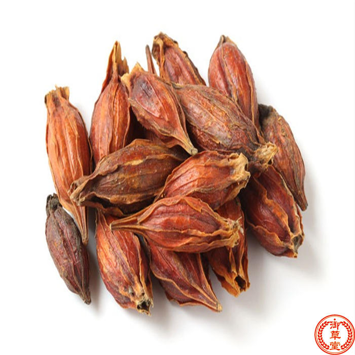 野生栀子生栀子黄栀子枝子山栀子花茶  500g包邮