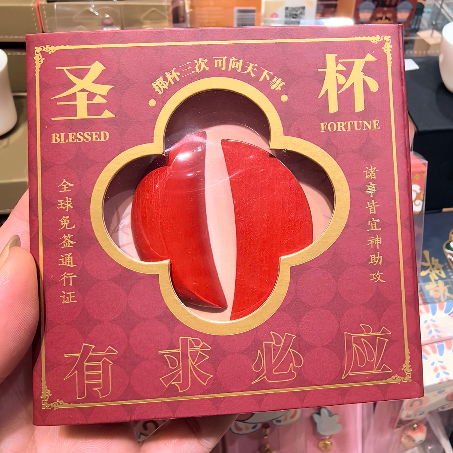 潮汕厦门泉州漳州莆田迷你圣杯