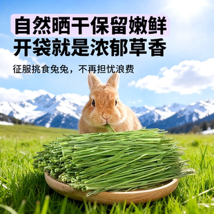 26年新提摩西草无添加天然草料高纤维兔兔专用饲料