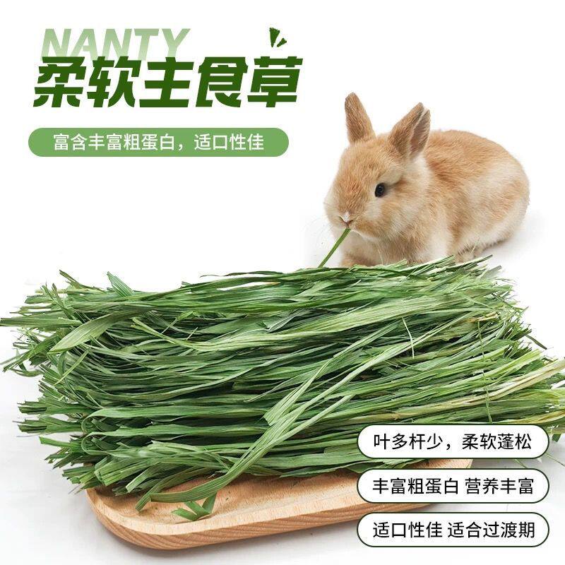 新提摩西草烘干草段，宠物专用，鲜香嫩绿，兔子龙猫荷兰猪草饲料