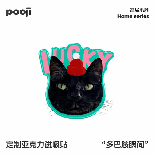 POOJI宠物定制黑猫生日图案手工滴胶磁吸冰箱贴照片来图定制礼物