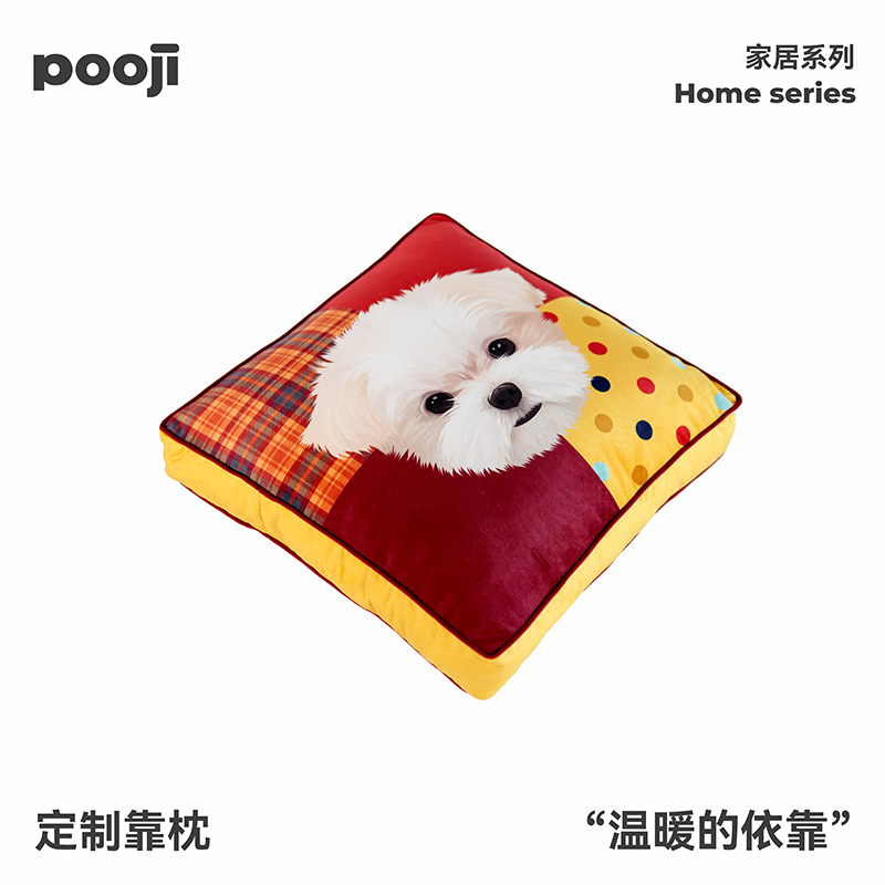 POOJI宠物定制靠枕靠垫沙发抱枕加厚轻奢猫咪狗狗创意来图DIY礼物