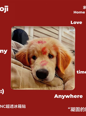 POOJI宠物定制冰箱贴超透超厚亚克力CNC精雕工艺照片来图DIY礼物