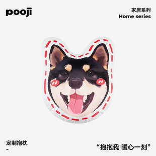 POOJI宠物定制周边抱枕不规则外形可爱双面原创设计猫咪狗狗礼物