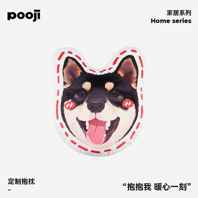 POOJI宠物定制抱枕猫咪狗狗礼物