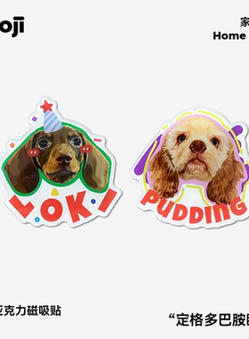 POOJ宠物定制冰箱贴手工滴胶饰品原创设计猫咪狗狗来图DIY礼物