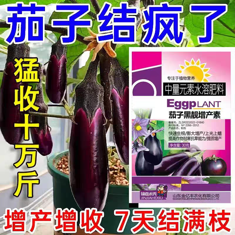 茄子黑亮膨大素茄子有机肥茄子专用肥料抗病增产拉长拉直保花保果