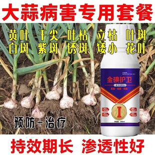 大蒜猛长大蒜专用肥防干尖软腐病疫病病毒病白粉病锈病大葱病全治