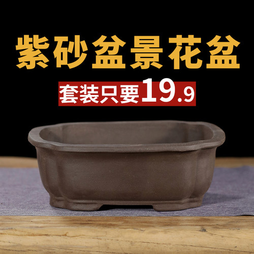 紫砂简约海棠盆景专用陶瓷花盆