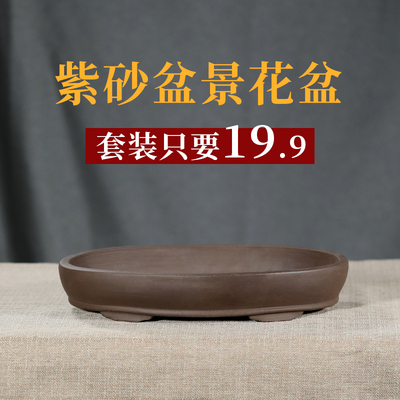 紫砂简约厂家直销特价花盆