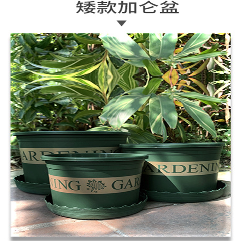 矮肥加仑盆全新塑料圆形托盘套装