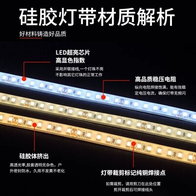 户外亮化12V24V防水灯带IP68实心