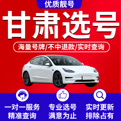 金昌平凉张掖定西临夏嘉峪关甘南州自编车牌选号新能源汽车数据库