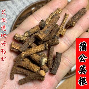 蒲公英根茶野生500g精选长白山婆婆丁整根正品炒制熟泡水泡茶