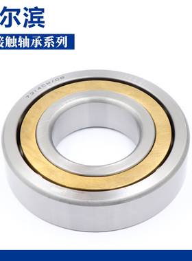 哈尔滨轴承 7306 7307 7308 7309 7310 7311 7312 7313 7314ACM