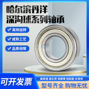 哈尔滨丹洋轴承6005 6006 6007 6008 6009 6010Z RZ 2Z ZZ 2RZ RS