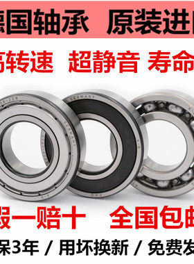 进口FAG轴承 61818 61819 61820 61821 61822 61824 2ZR 2RSR C3