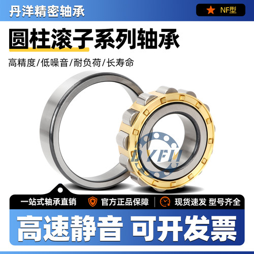 丹洋圆柱滚子轴承 NF222 224 226 228 230 232 234 236 238 240EM