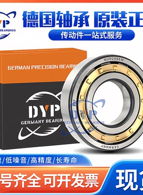 德国进口DYP圆柱滚子轴承 NU336 338 340 344 348 352 356 360 EM