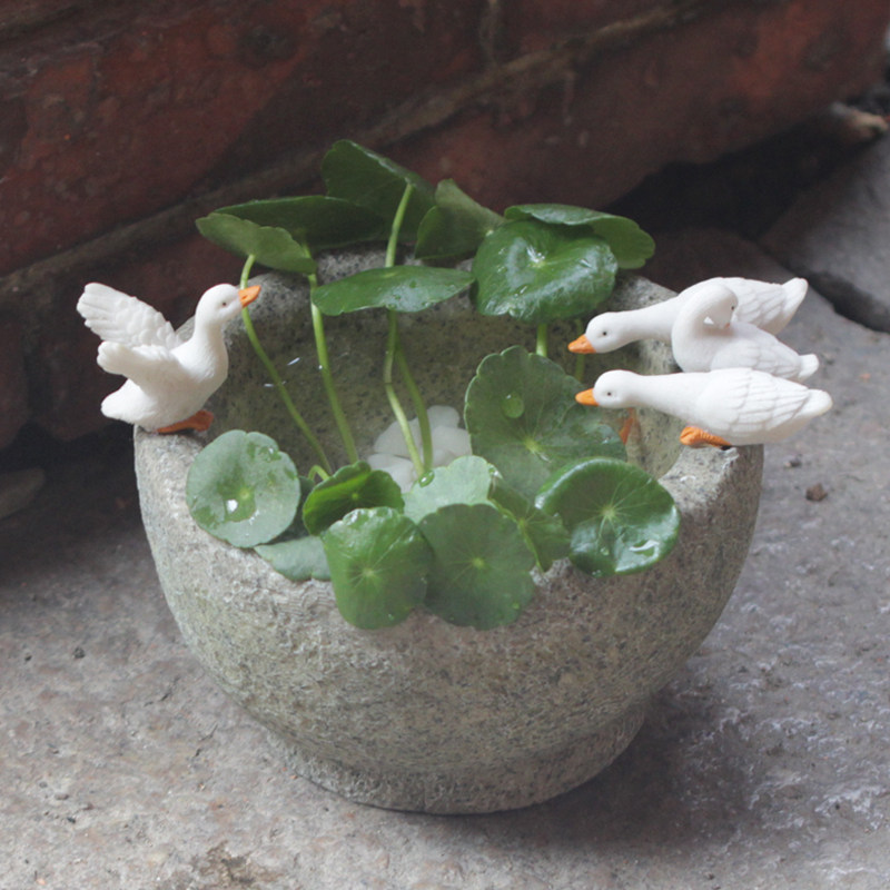 创意铜钱草水培花盆器皿多肉植物盆栽可爱小动物鸭子鱼缸造景摆件,家居饰品,花盆,淘宝优惠券,粉丝福利购,淘宝优惠卷
