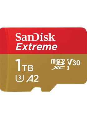 闪迪A2天马G前端专用卡RP4PRO 奥丁2mini 奥丁2PR2S沙雕3.5游戏卡