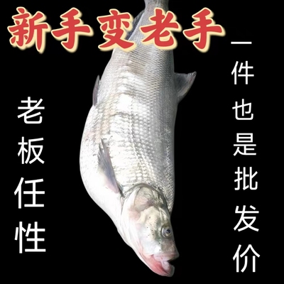 助投器助抛器远投防子线缠绕管缓沉路亚远投助抛器包邮