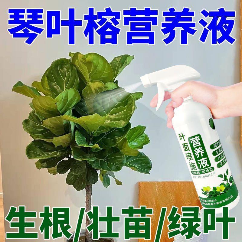 花营养液喜酸植物营养液急救琴叶榕锈斑琴叶榕营养液生根壮苗液快