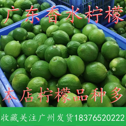 正宗广东香水柠檬新鲜柠檬手打柠檬包邮现摘鲜柠檬奶茶饮品店用