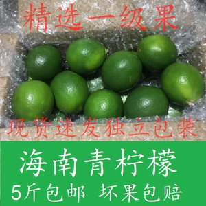 Hainan Lemon Lemon Lemon Lemon Fresh Постоянные сцены 5 фунтов бесплатной доставки с 10 до 22:00