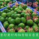 正宗广东香水柠檬新鲜柠檬手打柠檬 现摘鲜柠檬奶茶饮品店用 包邮