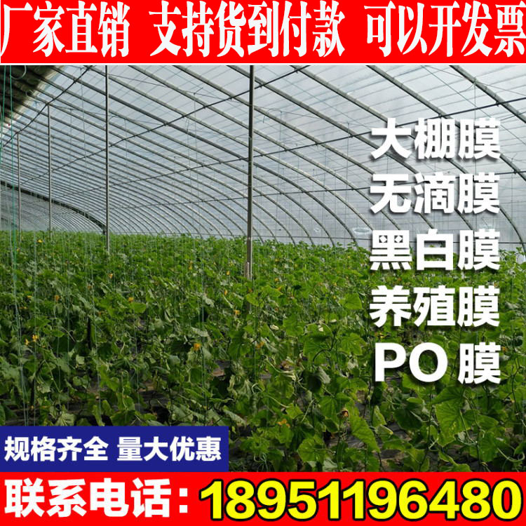 進口蔬菜大棚膜抗老化無滴膜養殖黑白膜加厚高透光po膜加厚塑料