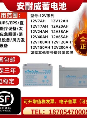 安耐威蓄电池AFM-P/C12100 12V100AH65A38A24A17AH铅酸免维护UPS