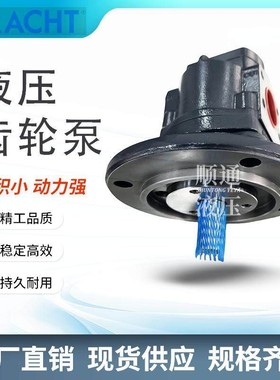 克拉克KF3/63 F30B P0B 7DP1/ KF3/112F10BN0A7GP67/34润滑齿轮泵