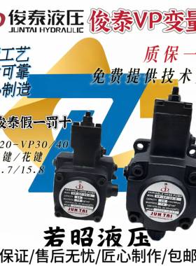 JUNTAI俊泰VP-SF-20-D液压油泵30 15 12 40变量叶片泵泵头VP20 S9