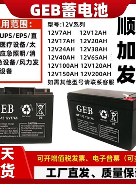 GEB蓄电池NP20-12铅酸免维护12V7A17A20A24A38A40A65A通讯机房EPS