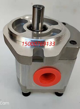 1AG1P02R 1AG1P27R 1GG1P02R 1GG1P27R 1GG1B02R 1GG1B27R 齿轮泵