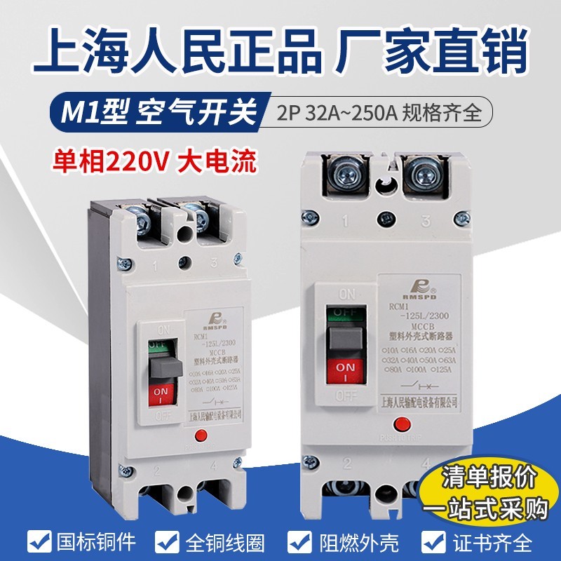 上海人民塑壳断路器RCM1 大功率空开2P 单相220V家用闸刀125A250A