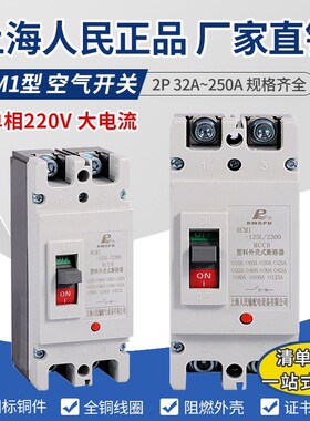 上海人民塑壳断路器RCM1 大功率空开2P 单相220V家用闸刀125A250A