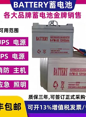 BATTERY蓄电池6-FM-33 12V33AH12AH18AH55AH东君A型应急照明电源