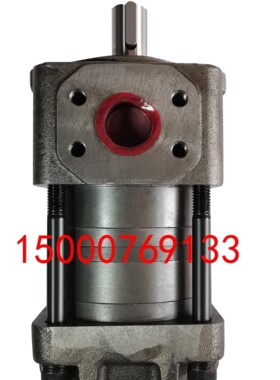 上海航发NBZ4-G40F 50F 63F NBZ5-G80F 100F 125F 内啮合齿轮泵