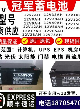 志成冠军蓄电池NP100-12 12V100AH64AH38AH24AH17AH直流屏UPS电源