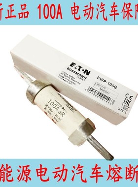 全新新能源电动汽车FWP-100B熔断器30A FWJ-100A 700V 200ka 20A