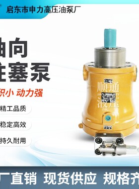 启东申力 轴向柱塞泵10/16/32/40/63/80/100/160/250/400PCY14-1B